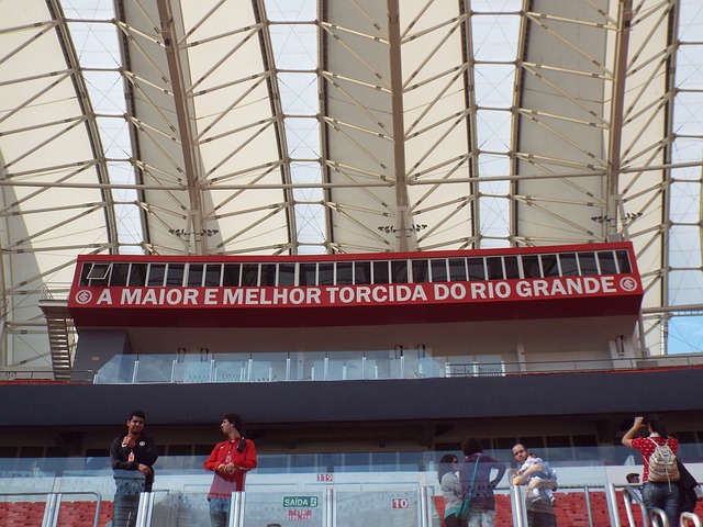 追求既定的 追求既定的