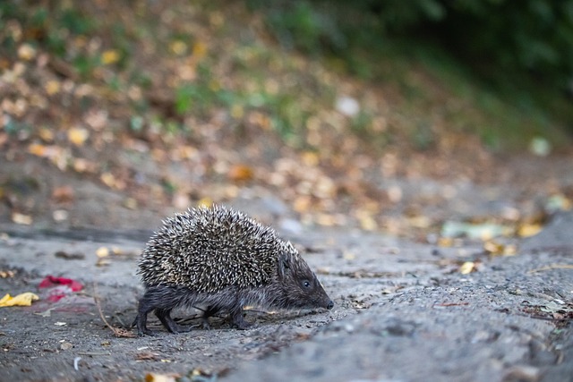 無論是在進 無論是在進