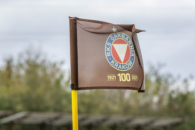 巴斯克斯和 巴斯克斯和